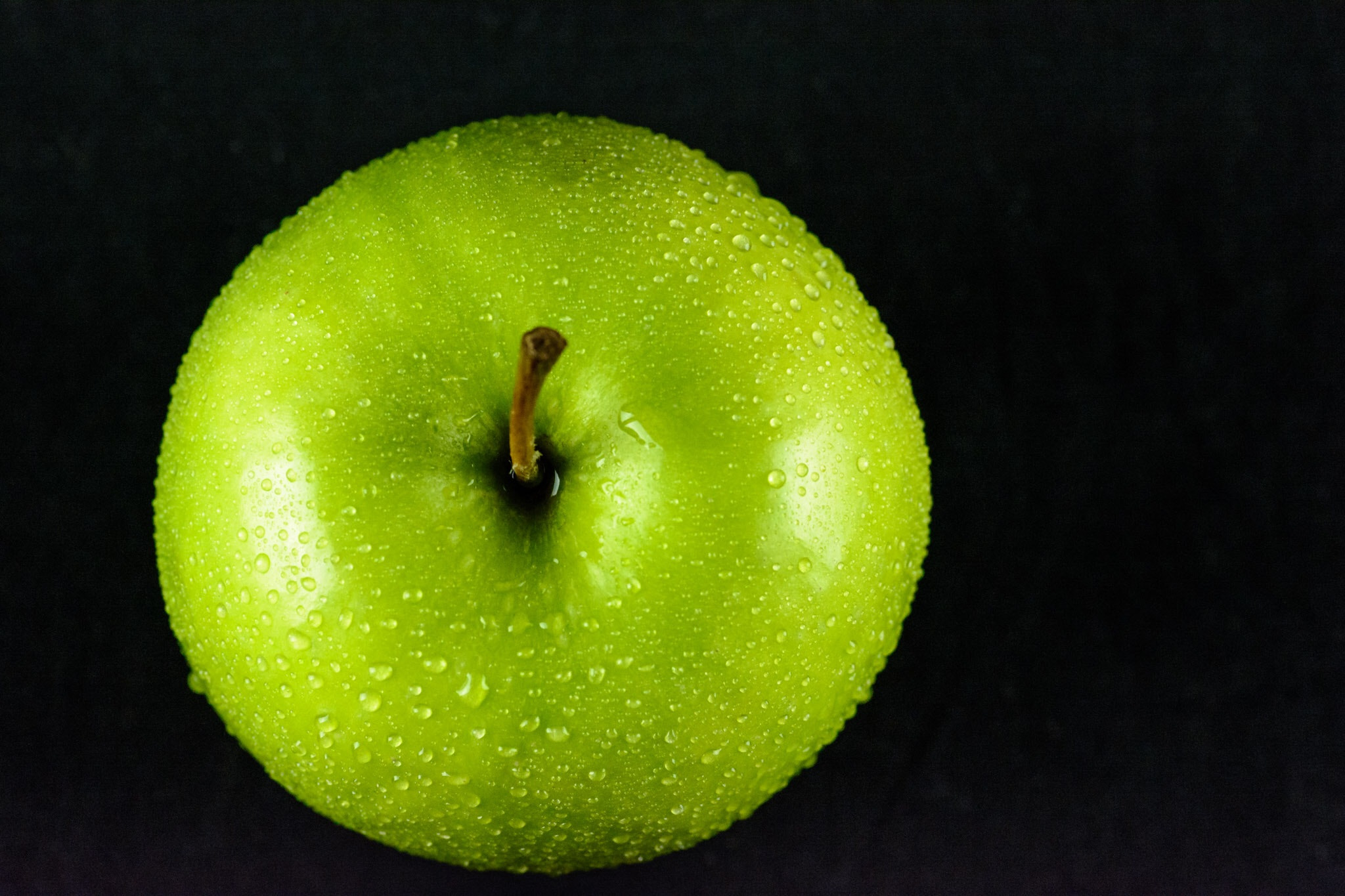 Tokina AT-X Pro 100mm F2.8 Macro sample photo