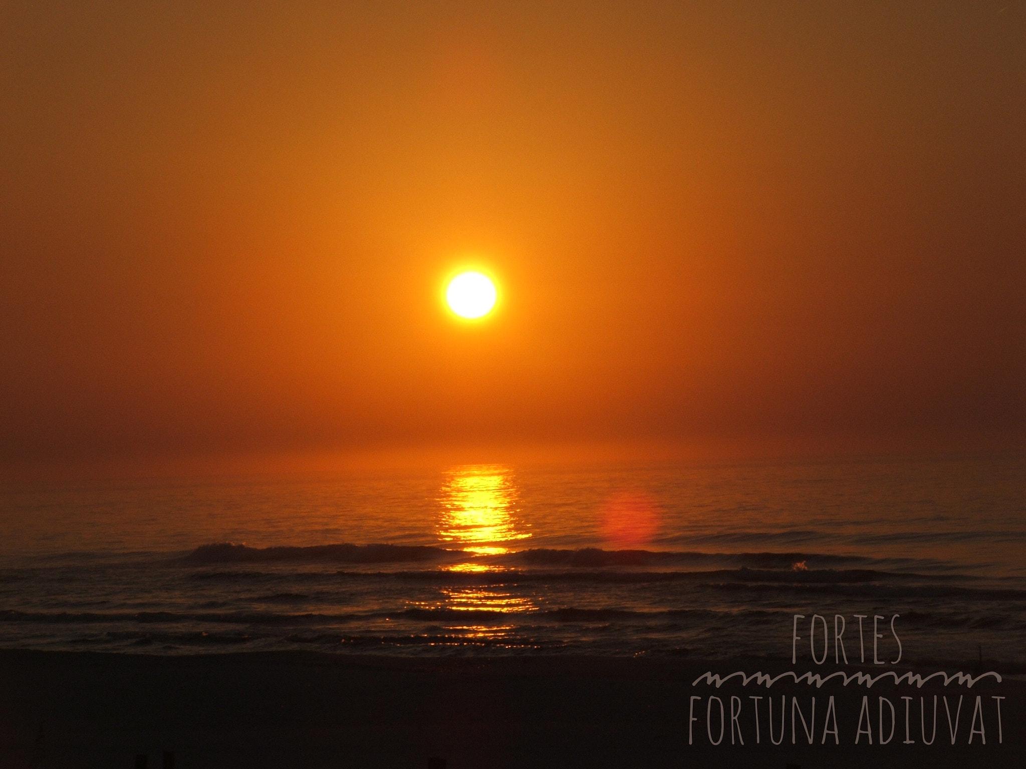 Fujifilm FinePix S3100 sample photo. Fortune favors the bold photography