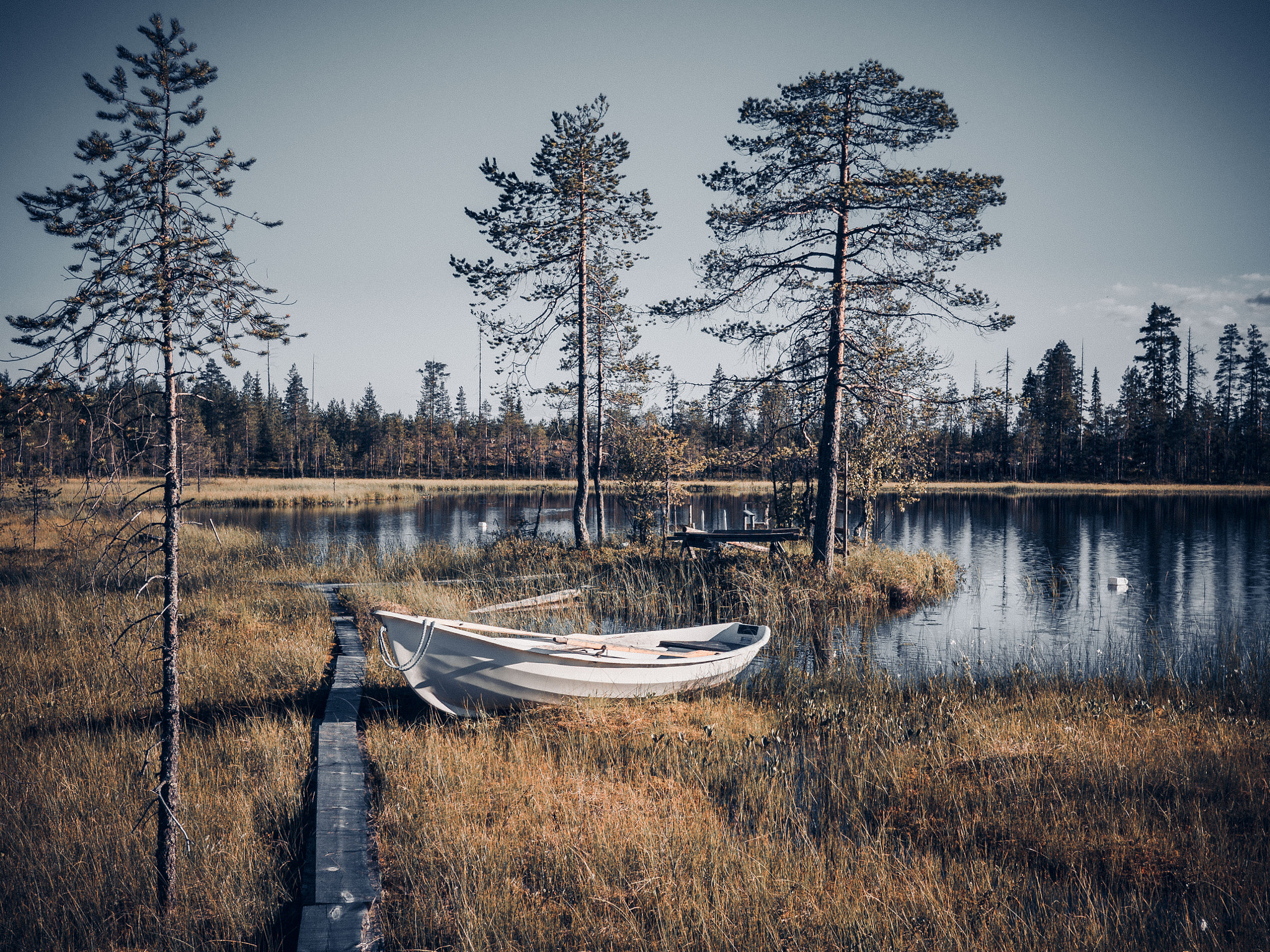 Olympus OM-D E-M10 + Panasonic Lumix G 20mm F1.7 ASPH sample photo. The space to breathe, a time to dream… photography