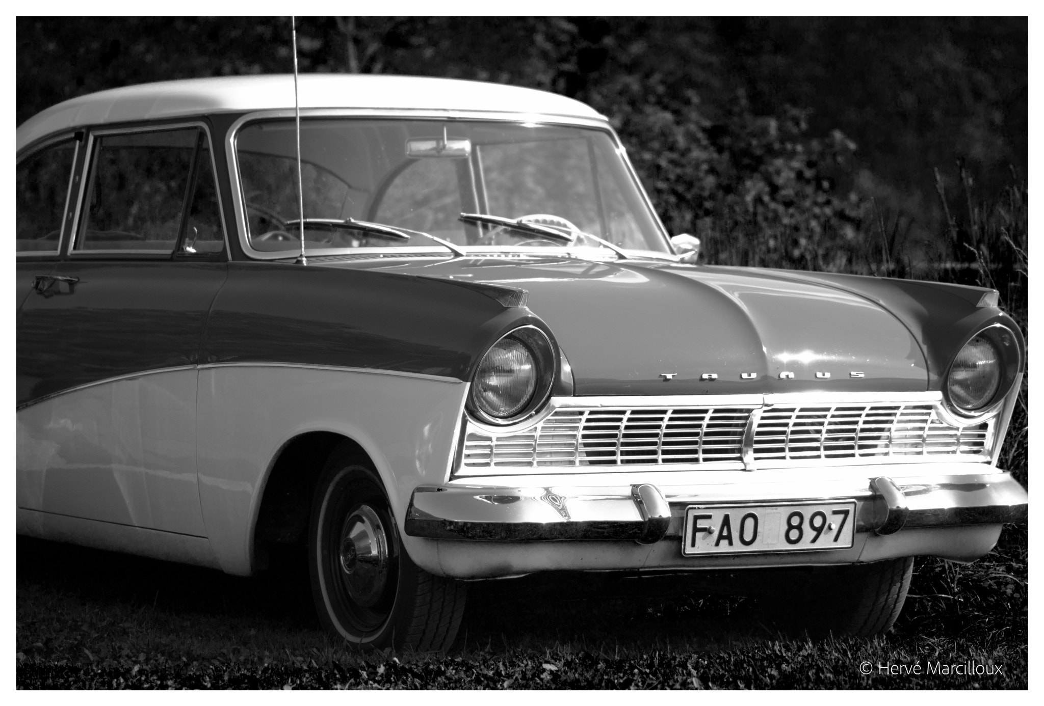 Sony SLT-A77 + 105mm F2.8 sample photo. Taunus photography