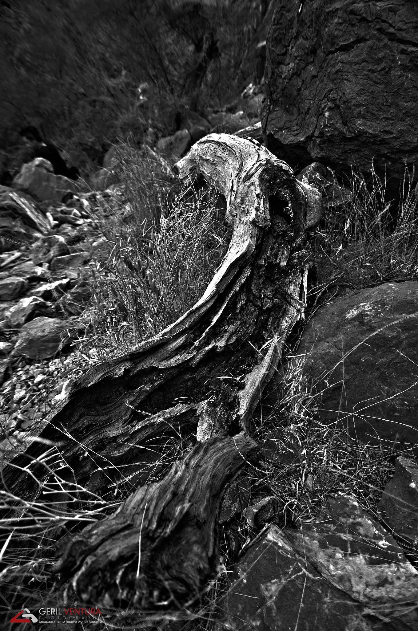 Nikon D300 sample photo. Aged photography