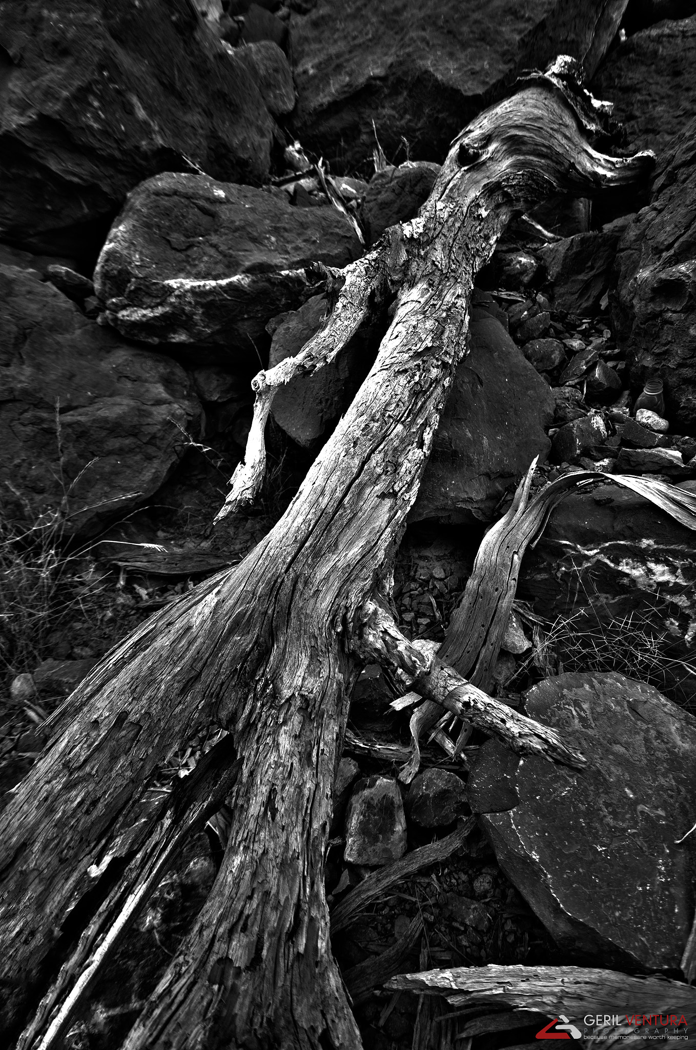 Nikon D300 sample photo. Aged photography