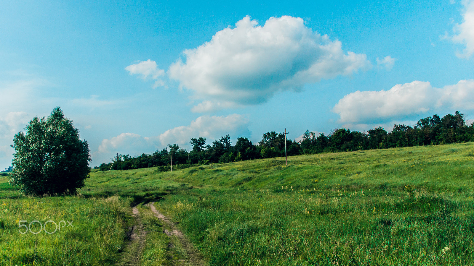 Sigma 18-125mm F3.8-5.6 DC OS HSM sample photo. Moment photography