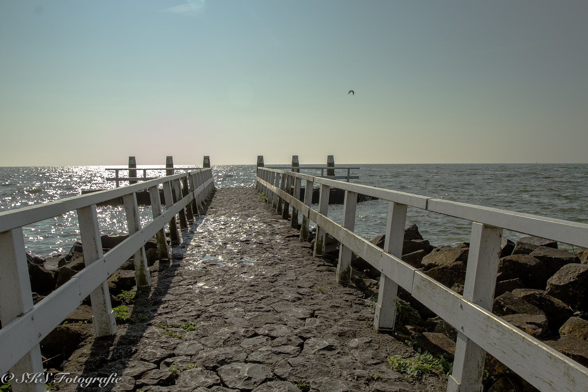 Sigma 10-20mm F3.5 EX DC HSM sample photo. Img photography