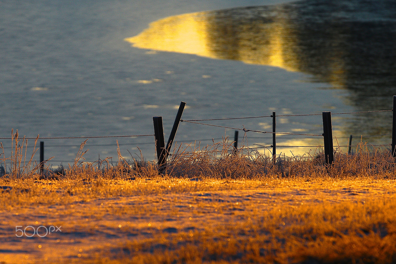 Canon EF 300mm F2.8L IS USM sample photo. Springice photography