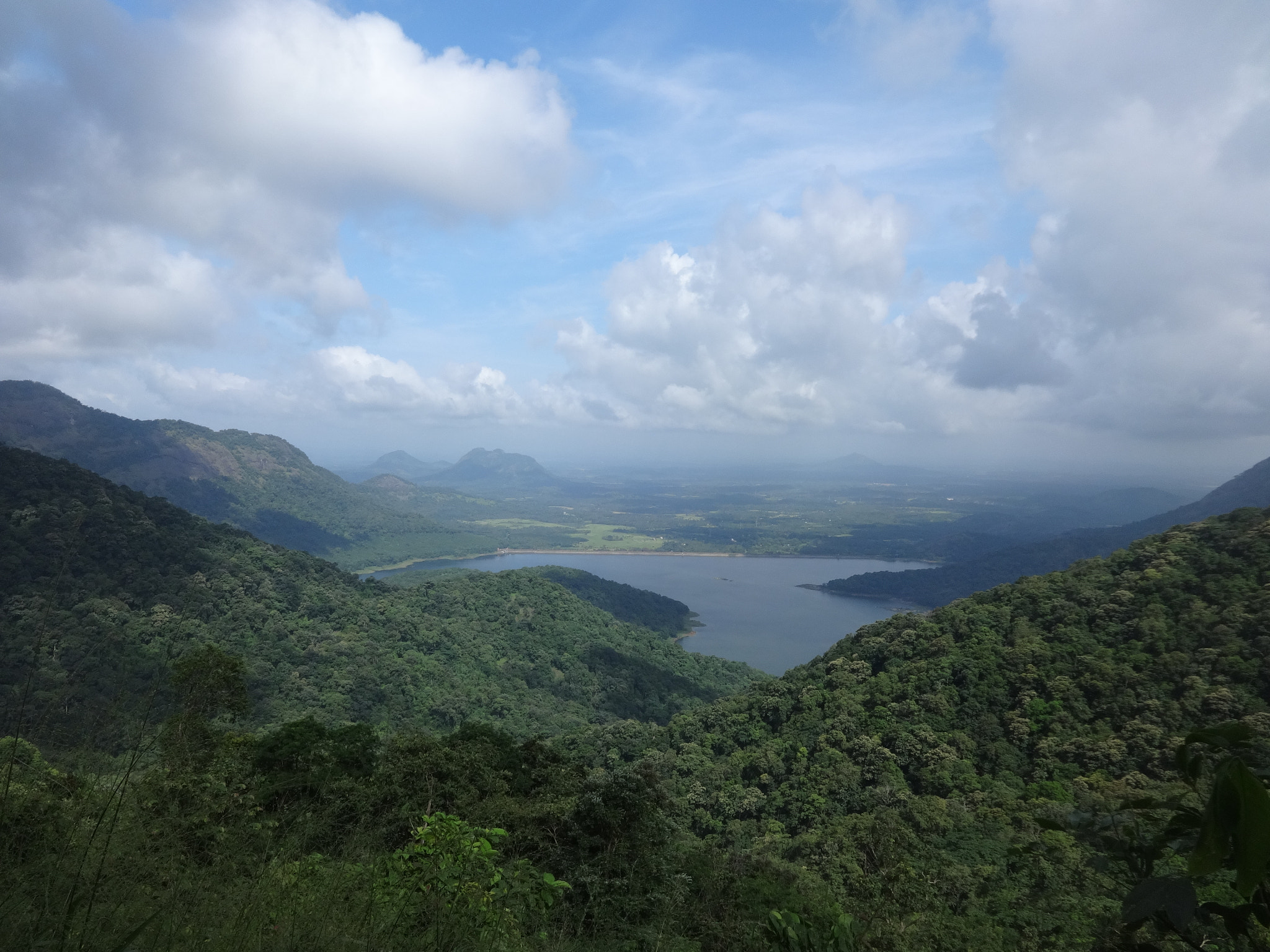 Sony DSC-WX60 sample photo. Nelliyampathy hills , palakkad , kerala , india.. photography