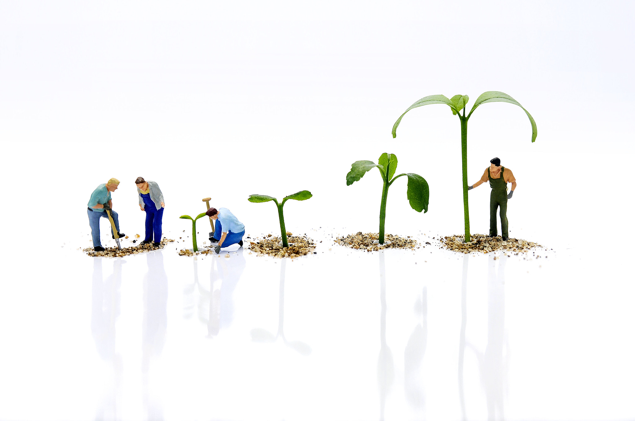 Nikon D300S sample photo. Planting the tree photography