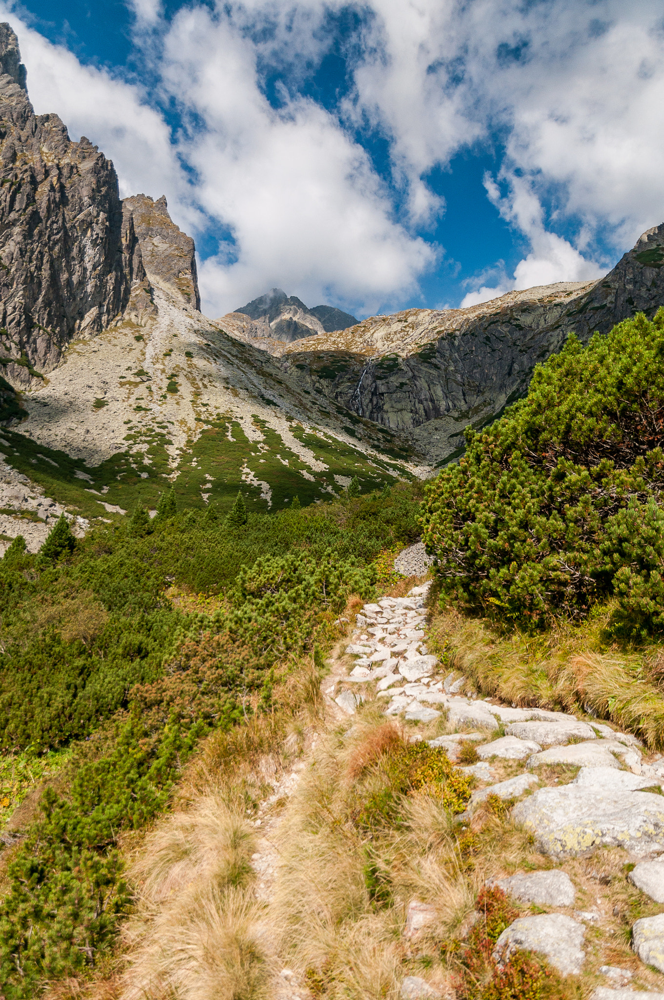 Nikon D5000 sample photo. Autumn mountains photography