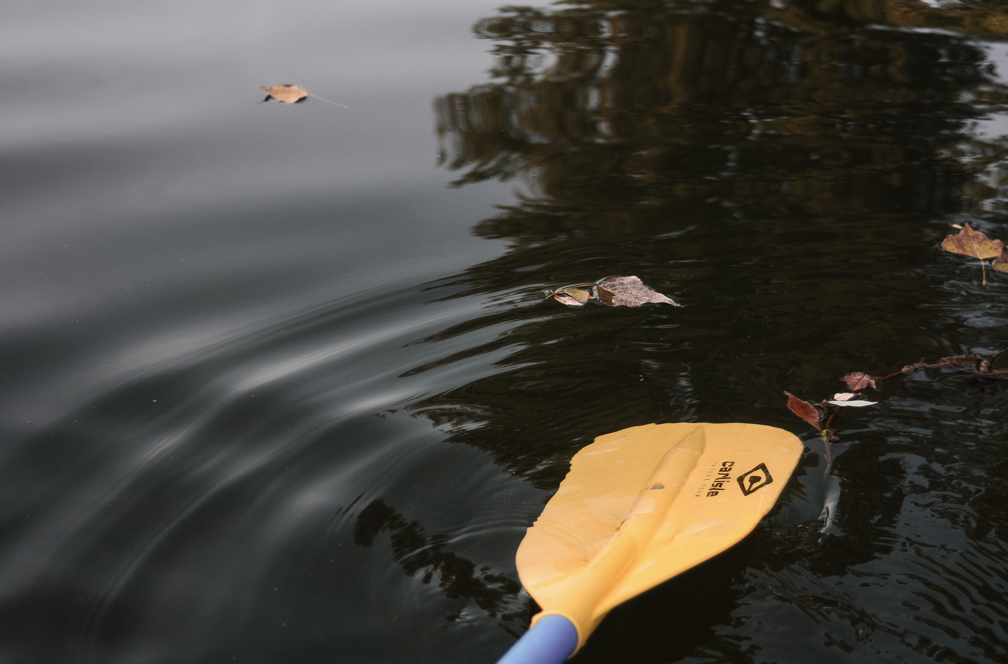 Canon EF 35-70mm f/3.5-4.5 sample photo. Late summer photography