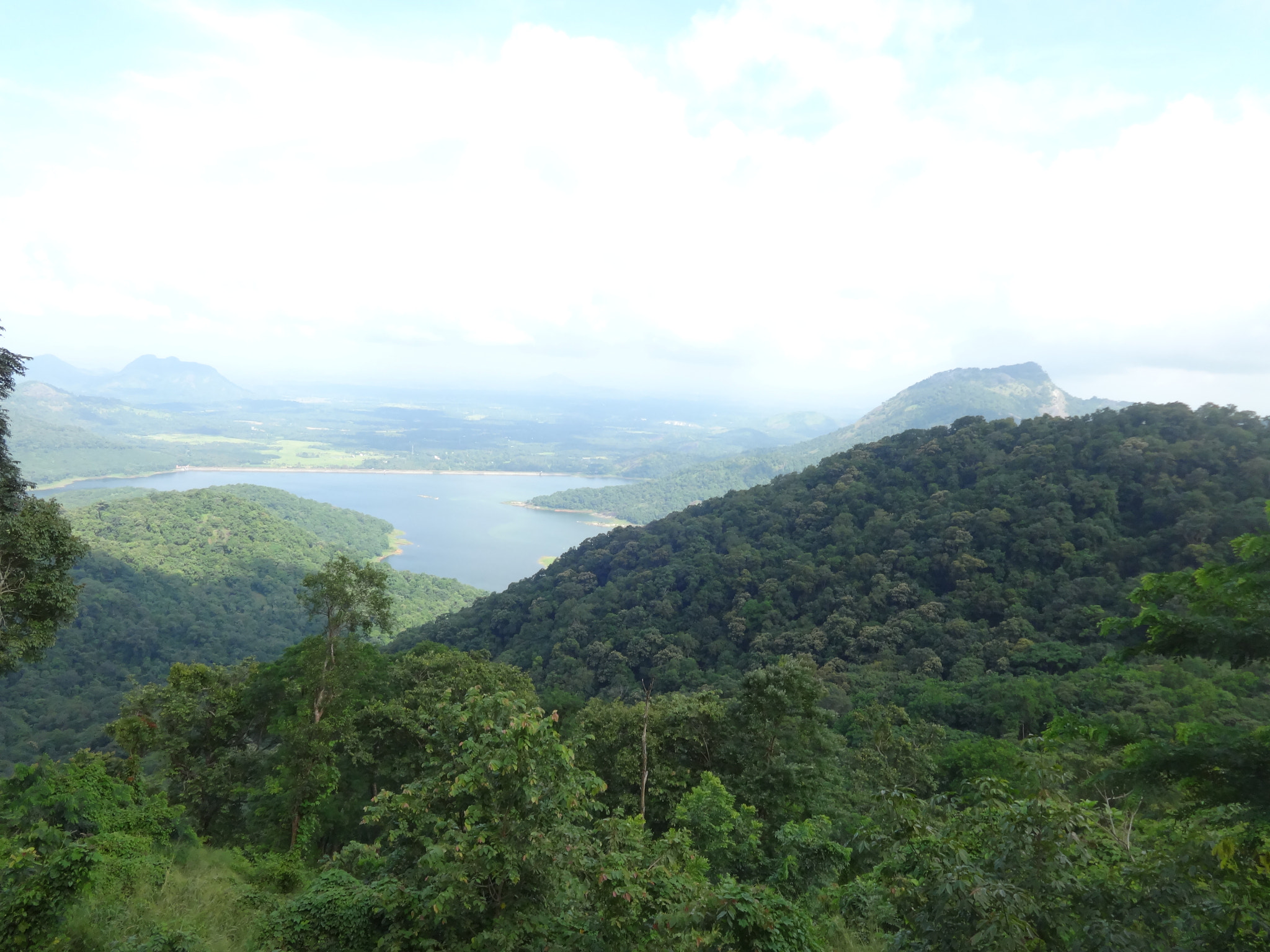 Sony DSC-WX60 sample photo. Nelliyampathy hills , palakkad , kerala , india photography