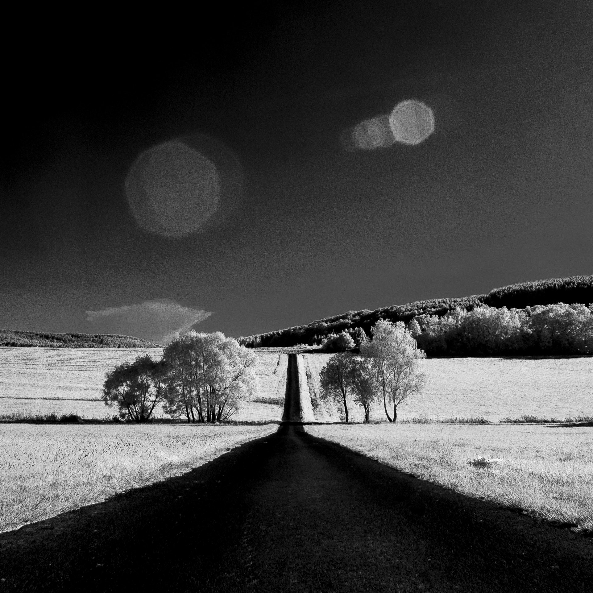 Nikon D70s sample photo. Long long road... photography