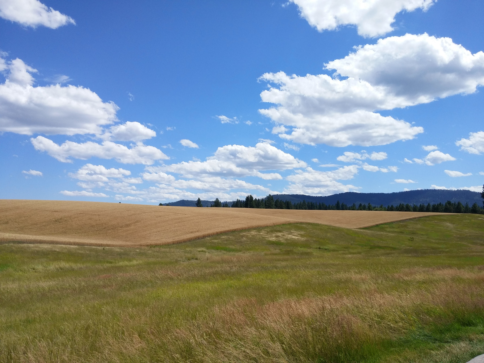 LG VS985 sample photo. Scenic field photography