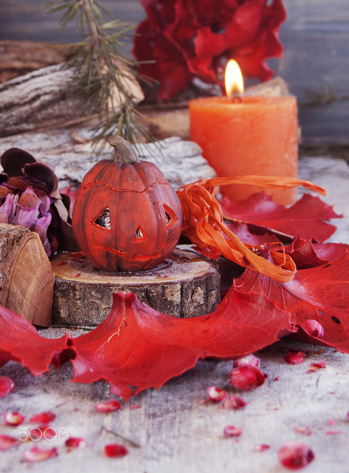 Sony Alpha DSLR-A380 sample photo. Decorative pumpkin for halloween with dried flowers photography