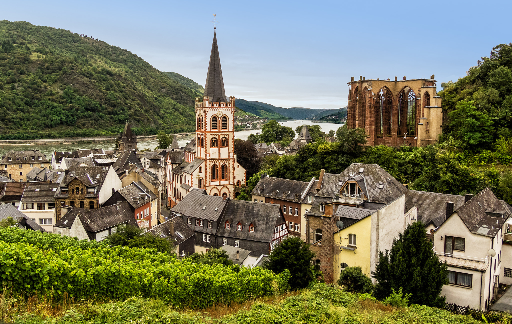Olympus OM-D E-M1 sample photo. Bacherach. rhine valley. photography