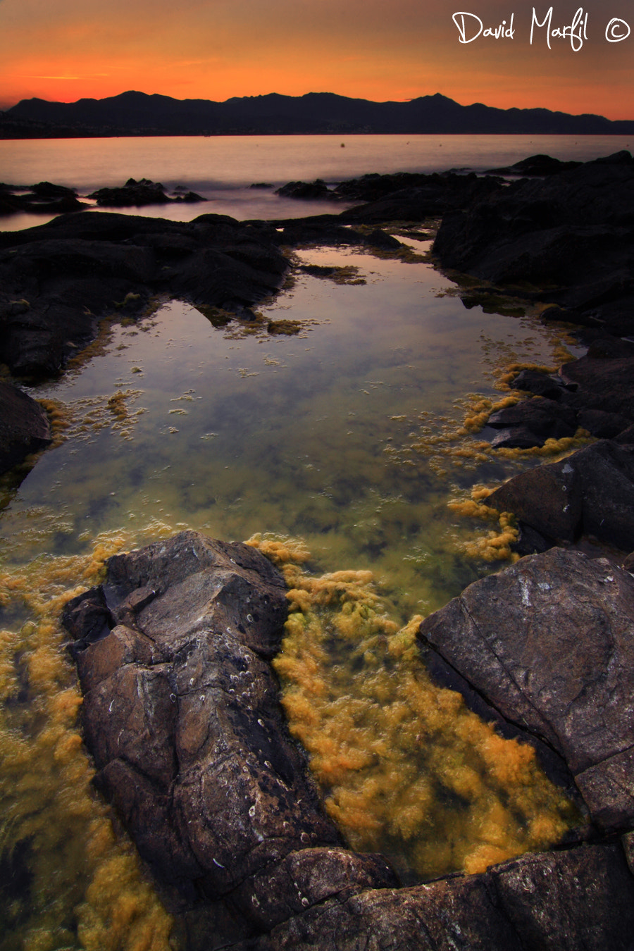 Tokina AT-X Pro 12-24mm F4 (IF) DX sample photo. El port de la selva photography