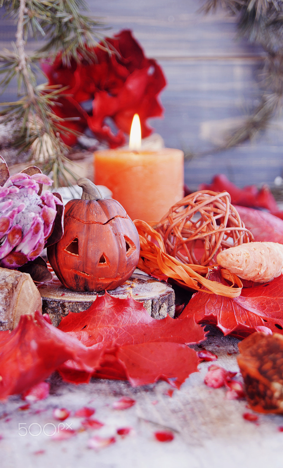 Sony Alpha DSLR-A380 + Sony DT 18-55mm F3.5-5.6 SAM sample photo. Decorative pumpkin for halloween with dried flowers photography