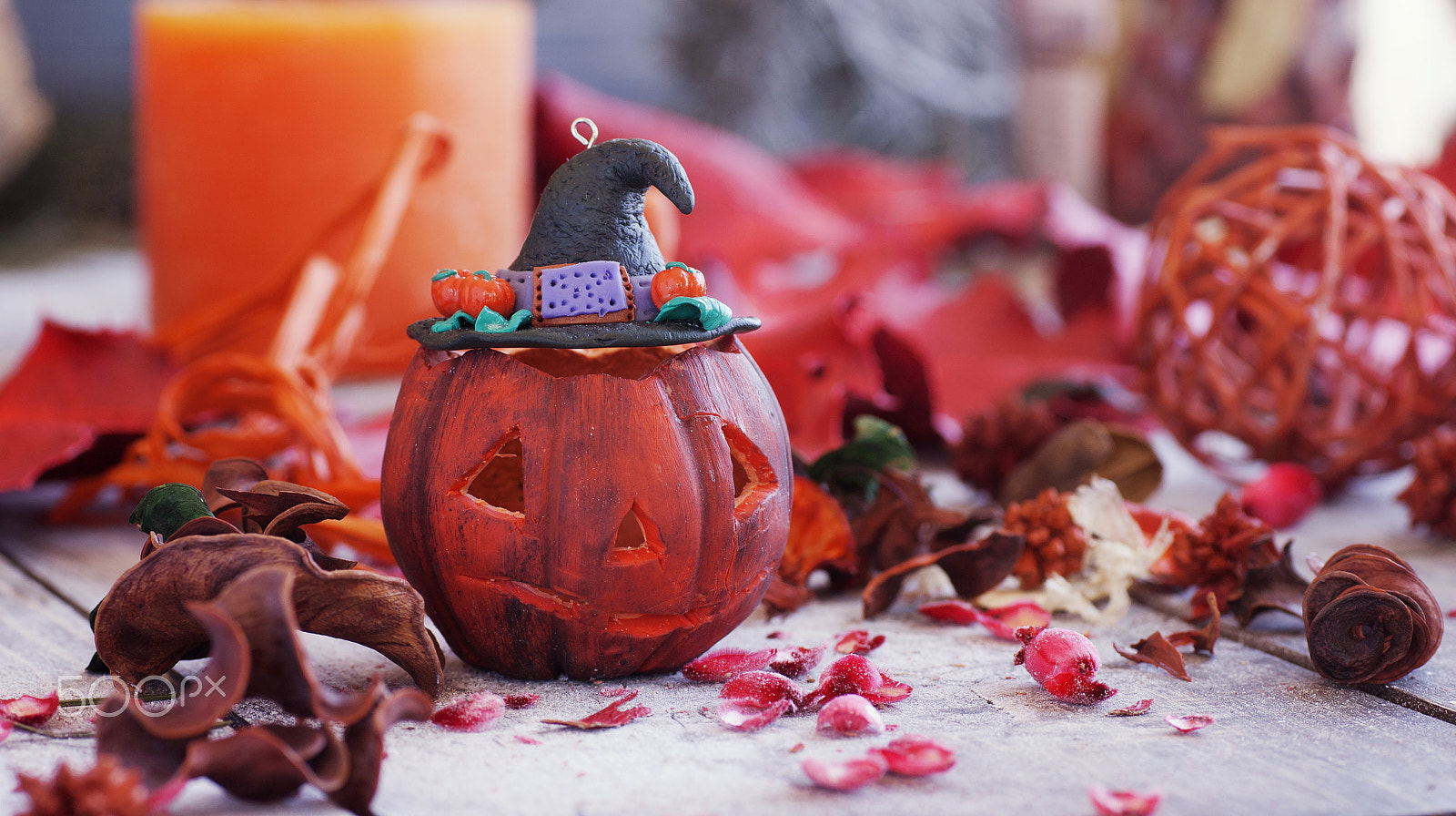 Sony Alpha DSLR-A380 sample photo. Decorative pumpkin for halloween with dried flowers photography