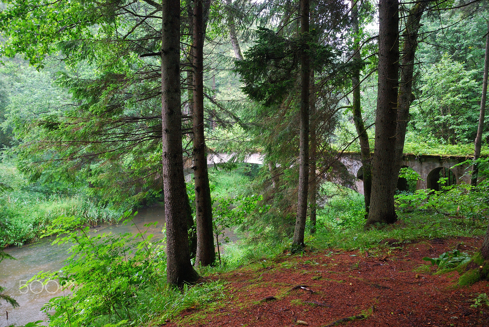 Nikon D40X sample photo. Old bridge over the river in the forest photography