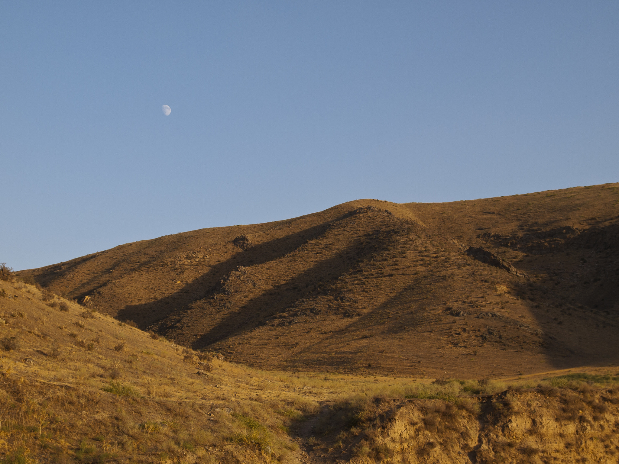 Olympus E-520 (EVOLT E-520) sample photo. Eastern evening in uzbekistan photography