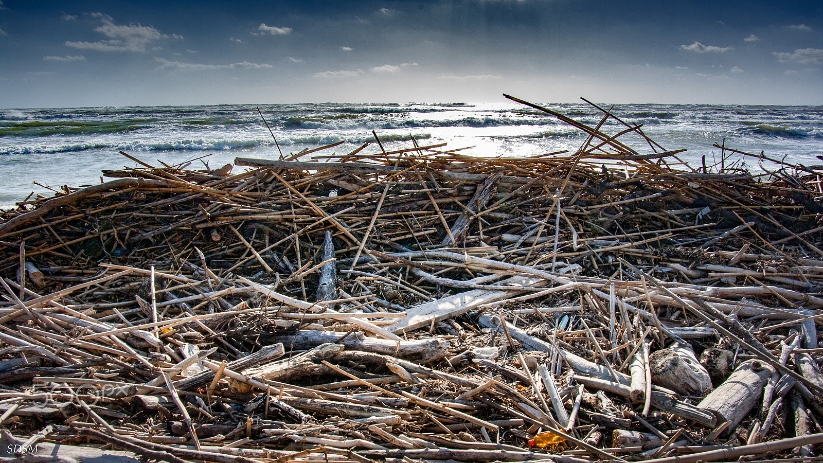 Pentax K-7 sample photo. Nest in front of the sea photography