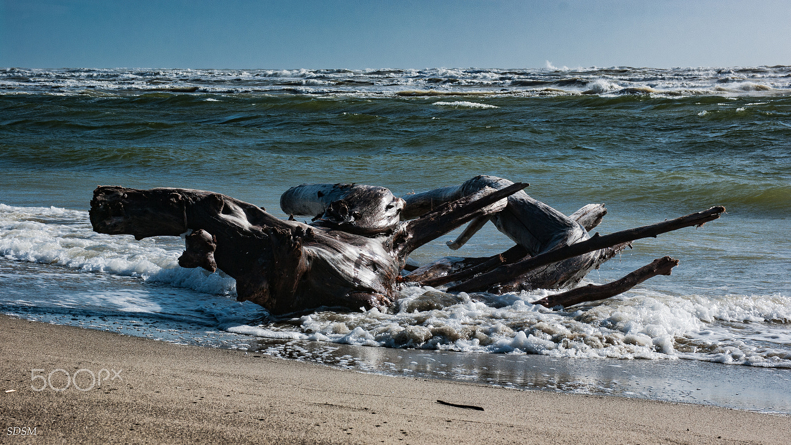 Pentax smc DA 17-70mm F4.0 AL (IF) SDM sample photo. The sea and the horse photography