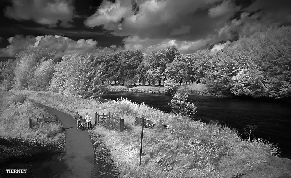 Nikon D70 sample photo. Ribble ramble photography