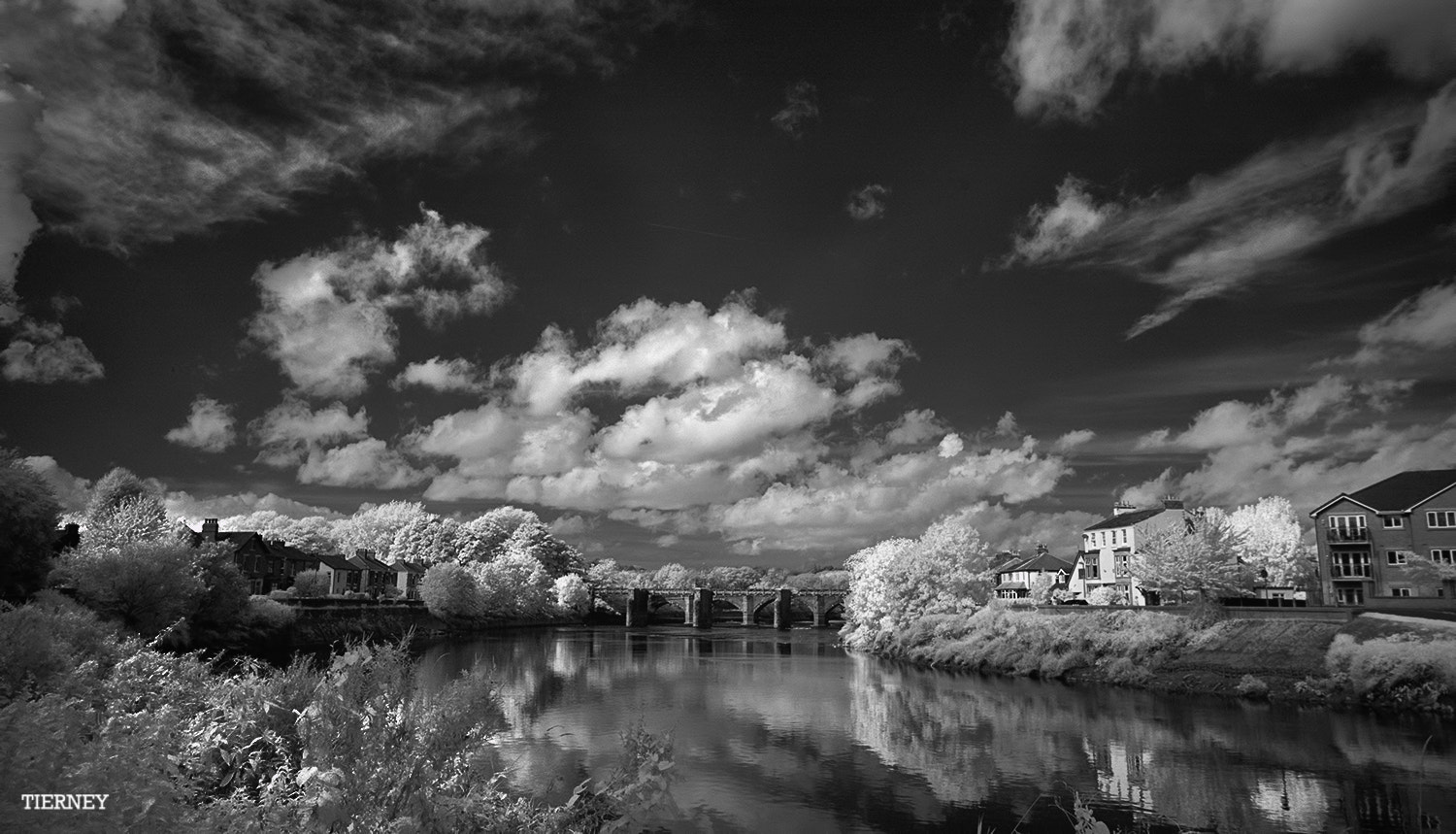 Nikon D70 sample photo. River ribble photography