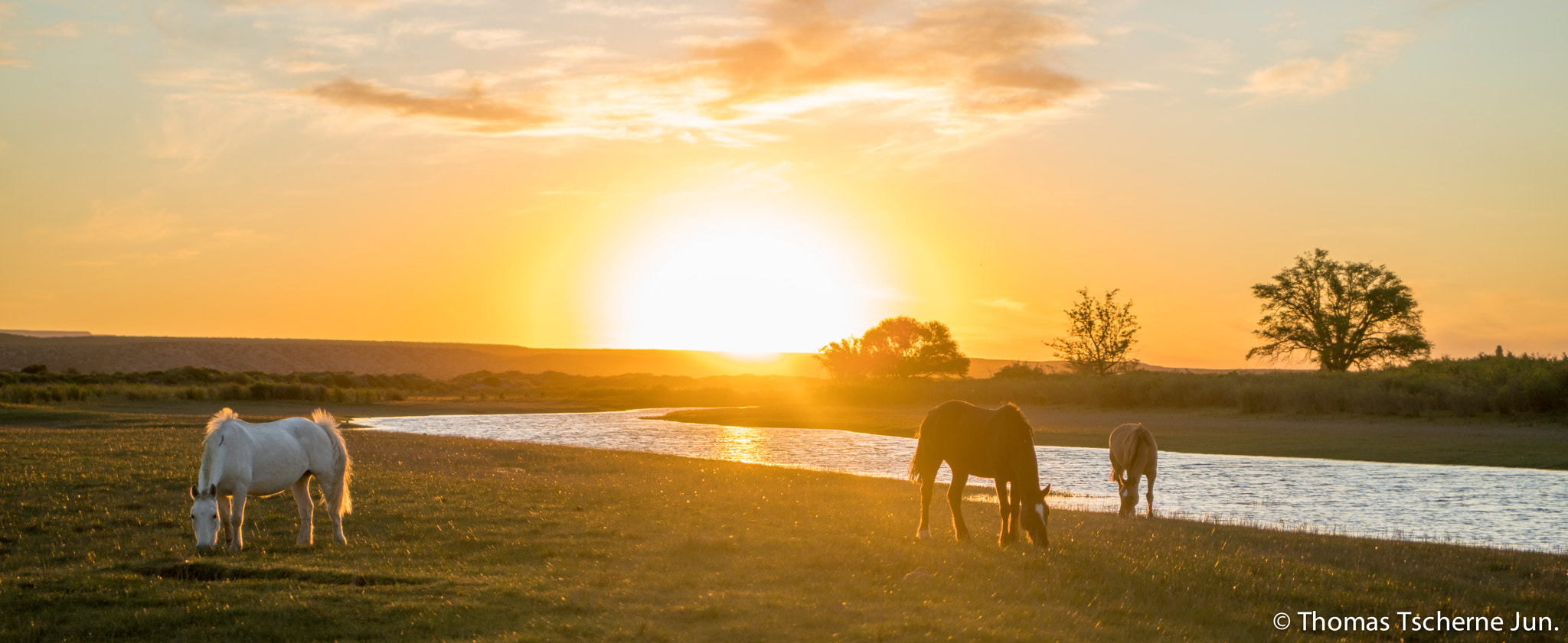 Sony a7R II + Sony 28-75mm F2.8 SAM sample photo. -homegrown- photography