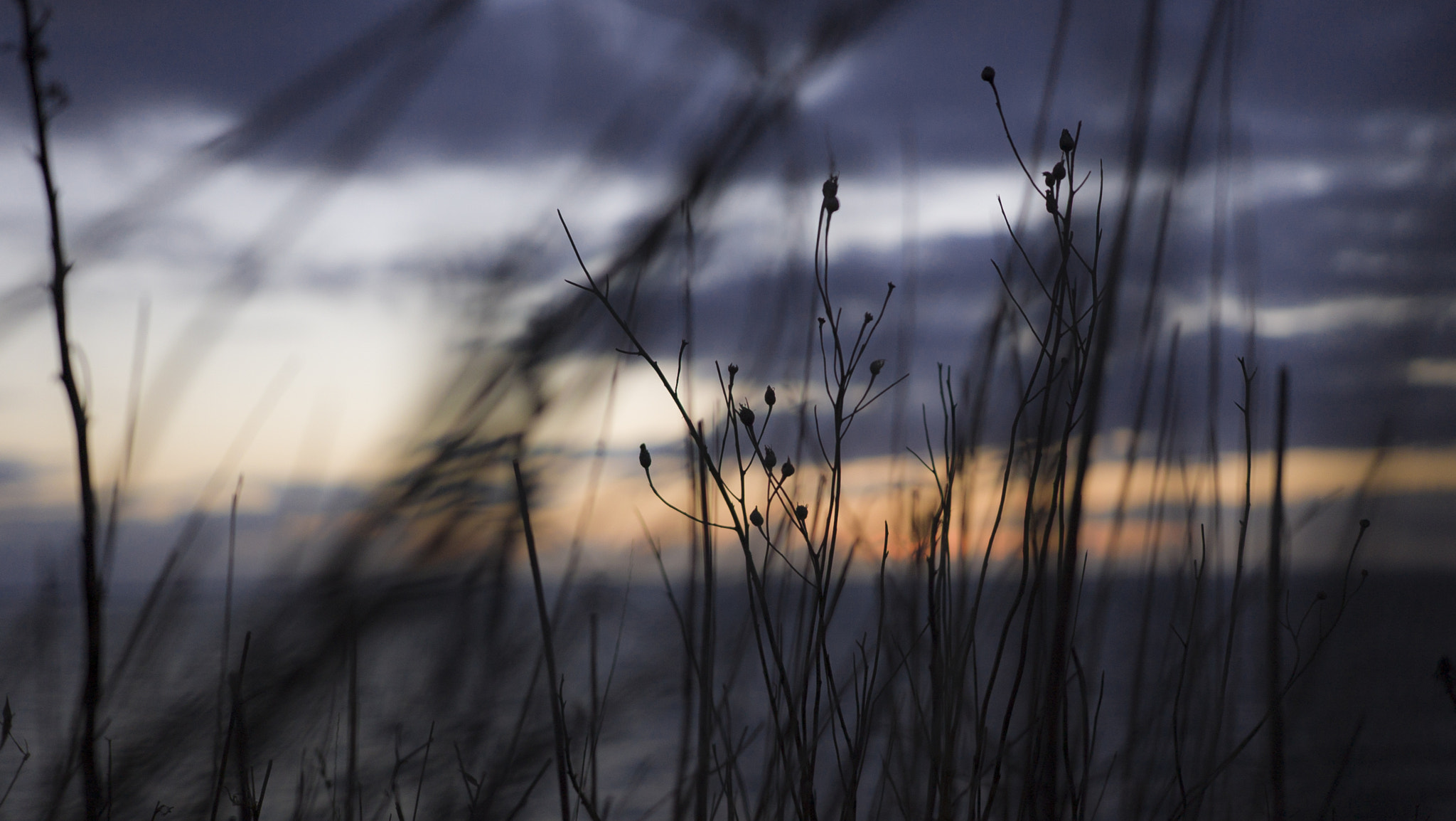 Sony a7S + Sony DT 50mm F1.8 SAM sample photo. 2.jpg photography