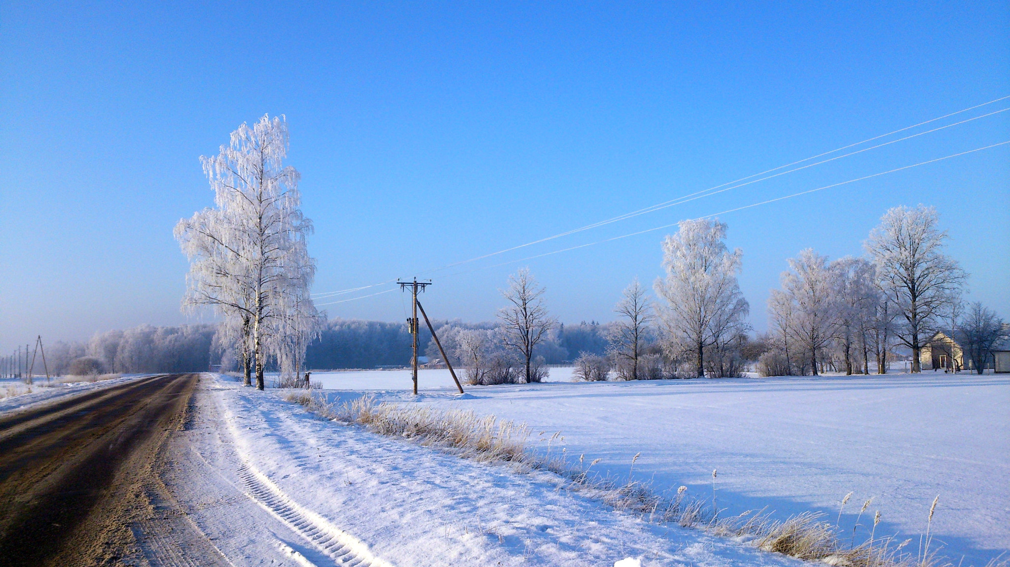 Sony Xperia T sample photo. Winter road photography