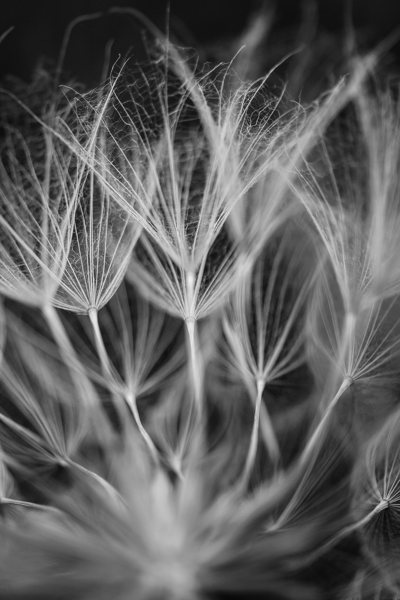 Canon EF-S 60mm F2.8 Macro USM sample photo. ... photography
