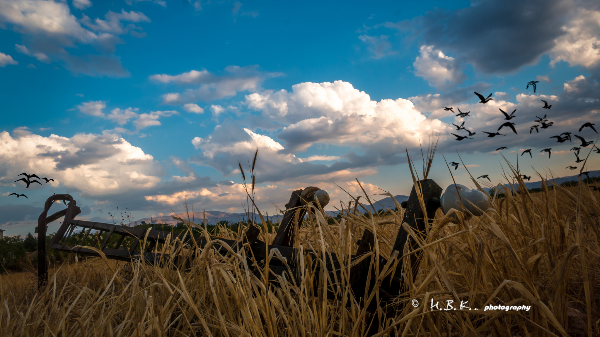 Samsung NX500 + Samsung NX 16mm F2.4 Pancake sample photo. Rusty,curved and alone ii photography