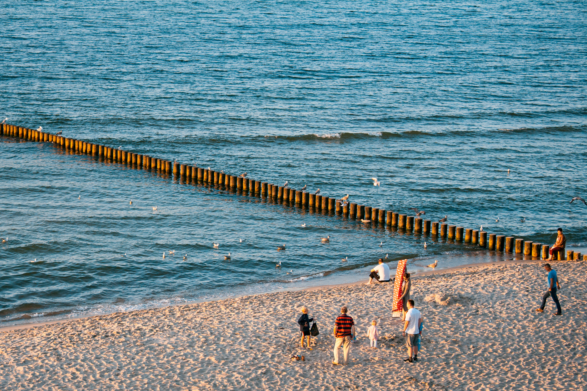 Canon EOS 5D + Canon EF 70-200mm F4L IS USM sample photo. Beach life photography