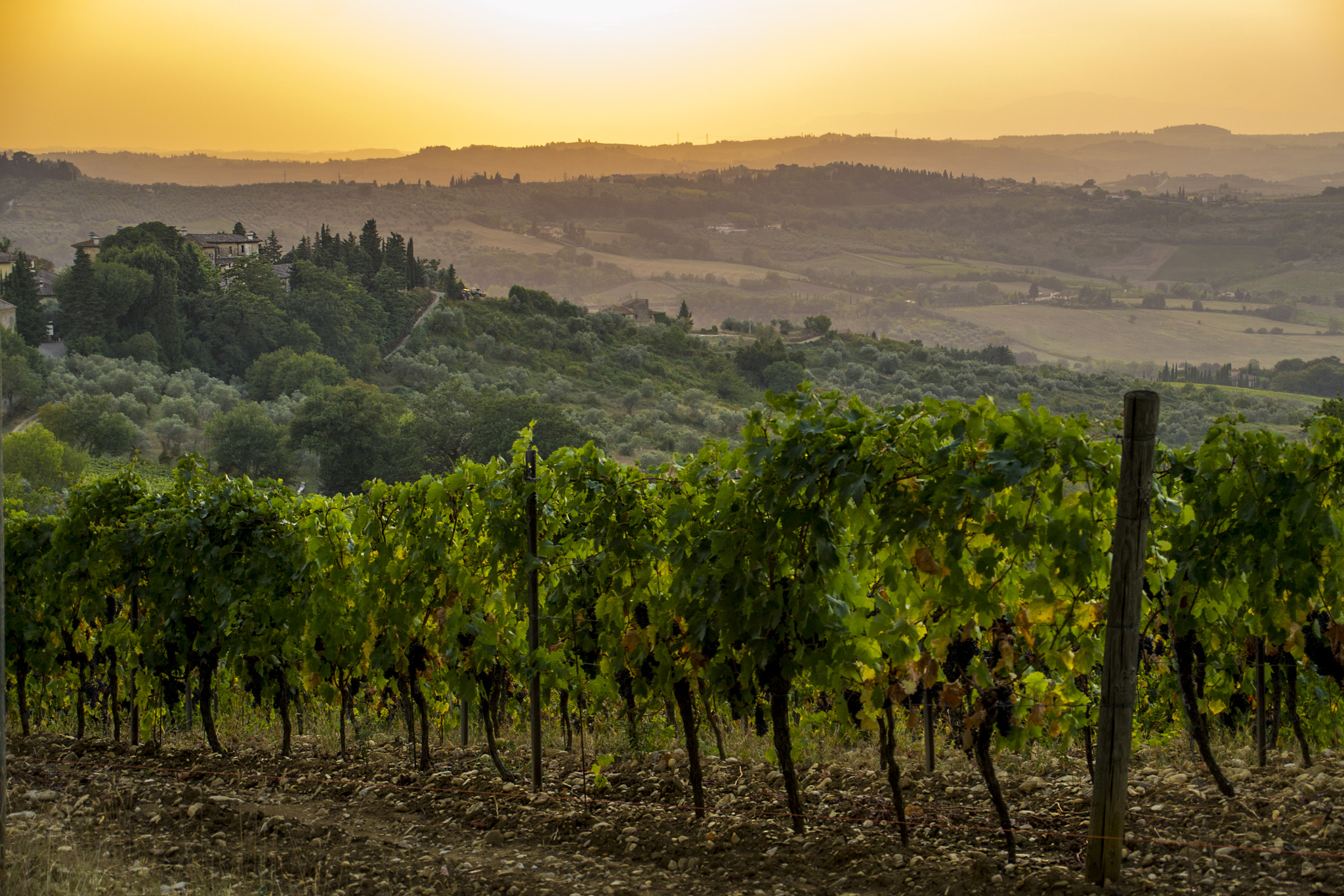 Sigma 28-300mm F3.5-6.3 DG Macro sample photo. Chianti classico photography