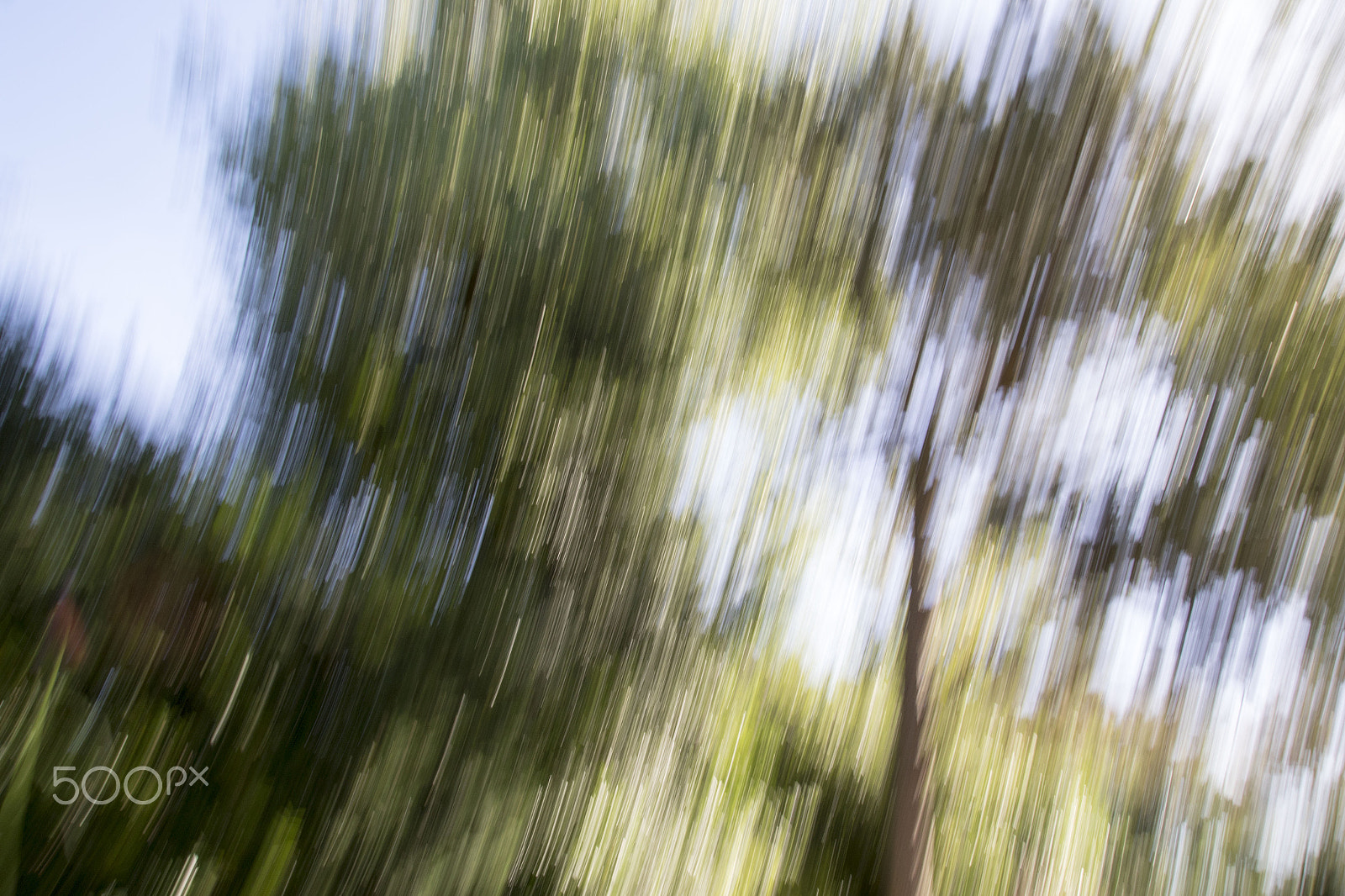 Tamron SP AF 17-50mm F2.8 XR Di II LD Aspherical (IF) sample photo. Moving trees photography