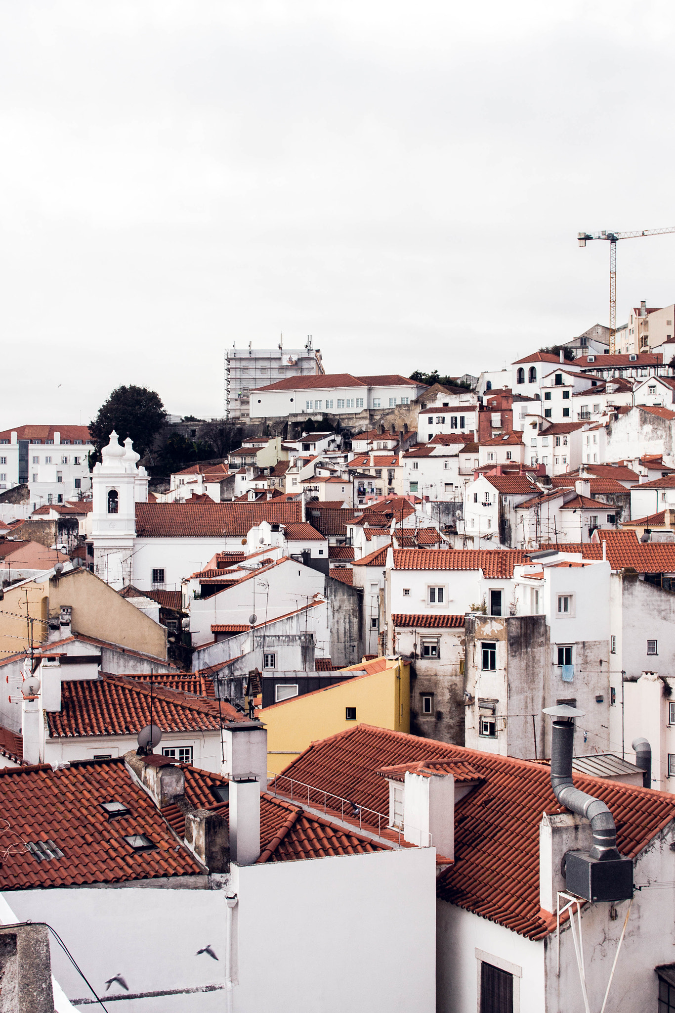 Sigma 30mm F1.4 EX DC HSM sample photo. Lisbon, autumn 2015. photography