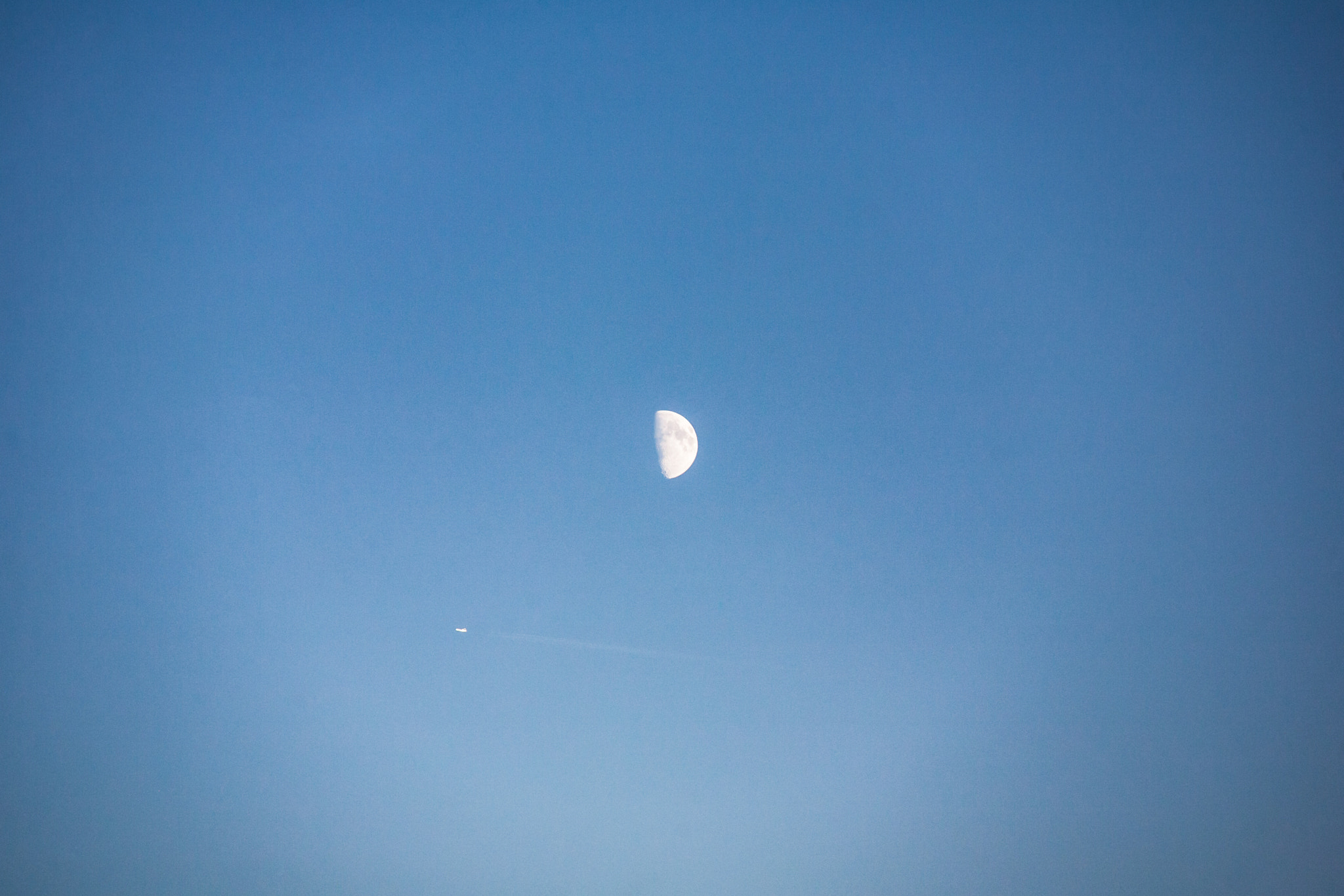 Canon EOS 5D + Canon EF 70-200mm F4L IS USM sample photo. Moon and the peter pan (probably) photography