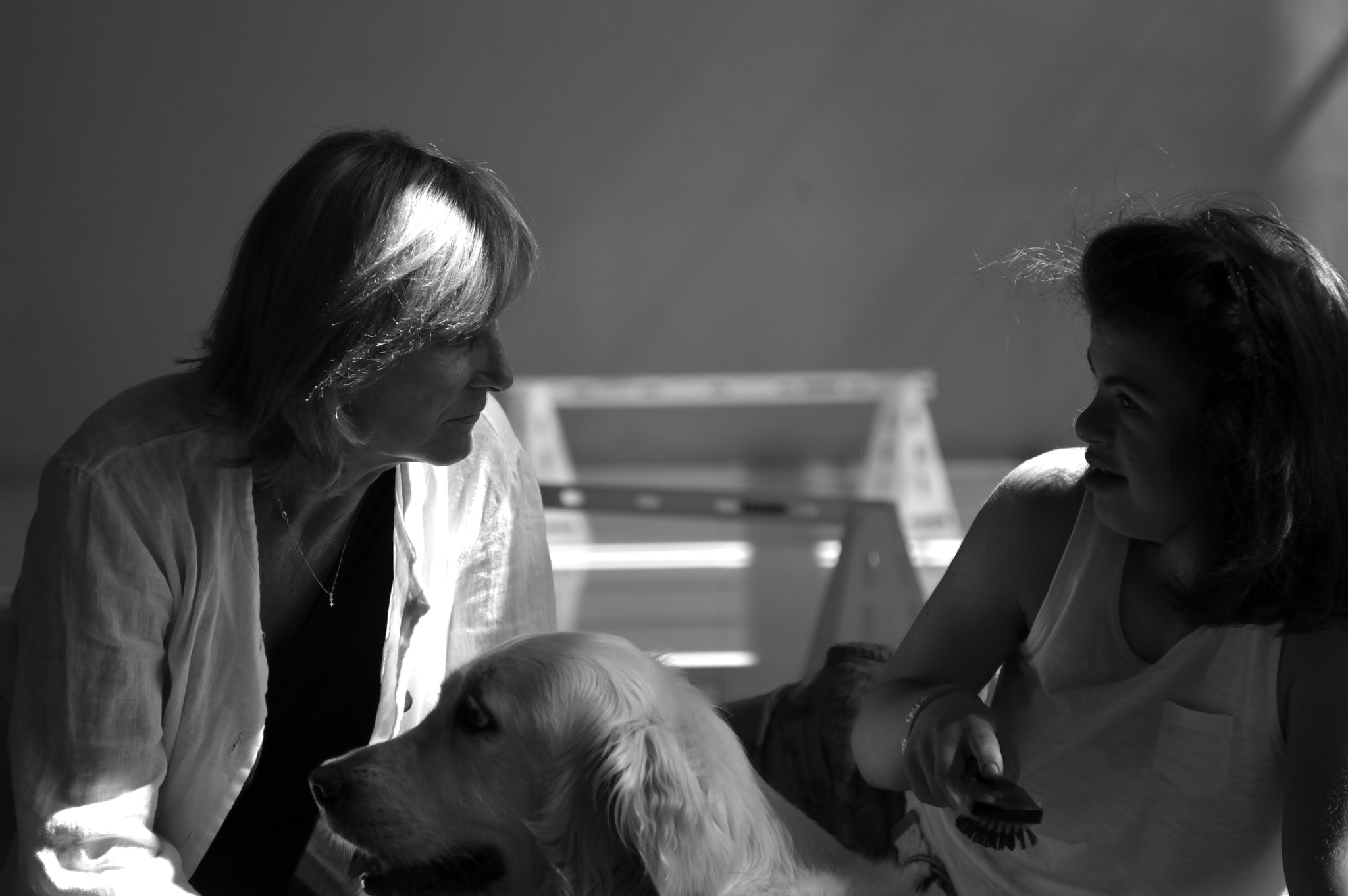 Nikon AF-S Nikkor 24-70mm F2.8G ED sample photo. Pet therapy in the hospital photography