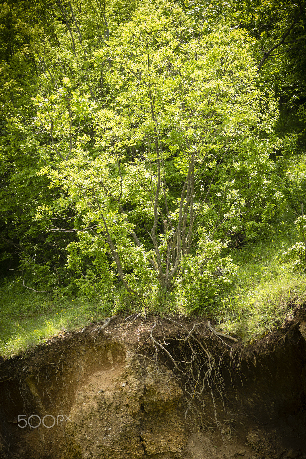 Canon EF 70-200mm F2.8L IS II USM sample photo. Livin' on the edge photography