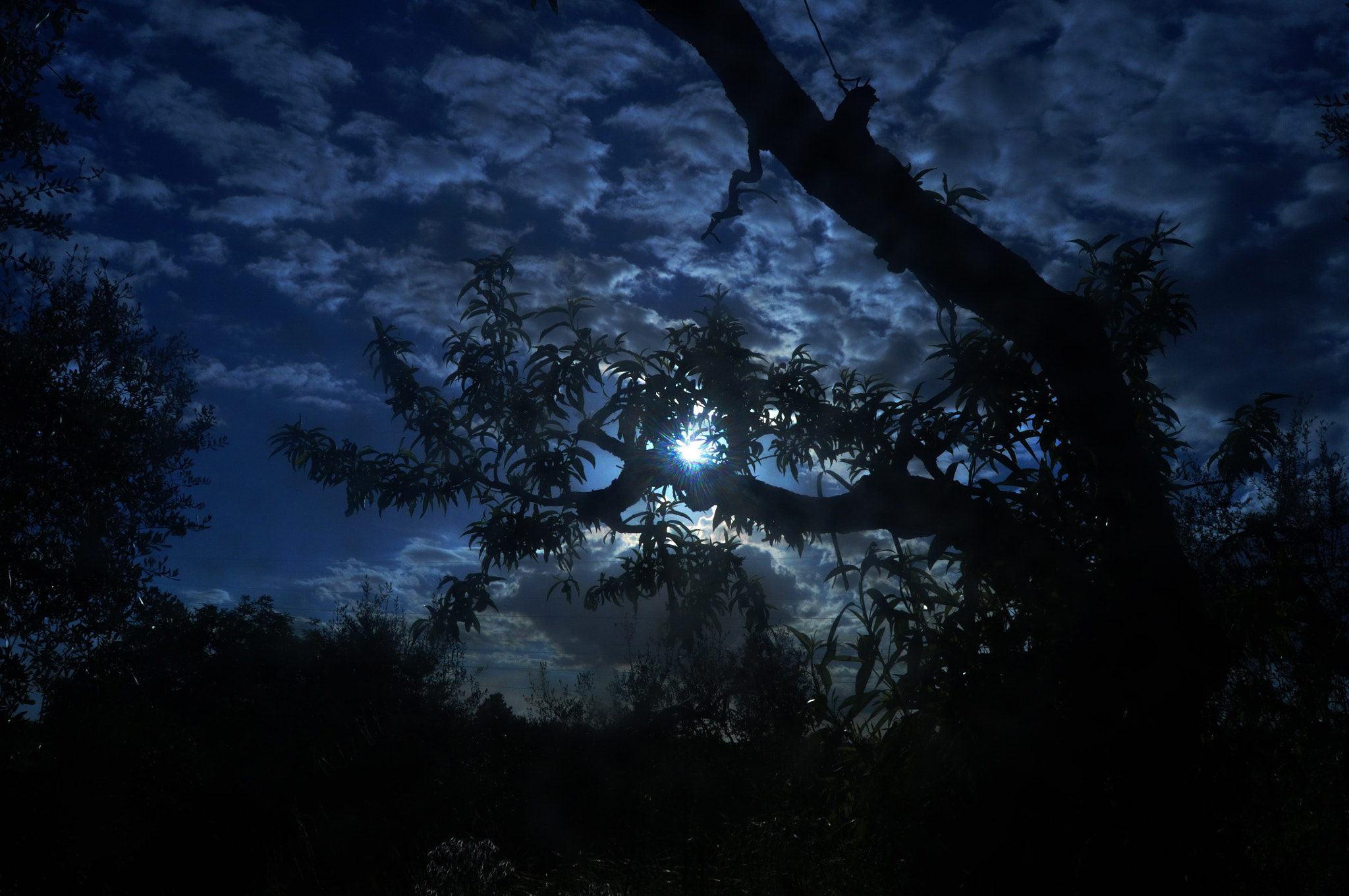 Nikon D5000 sample photo. Night effect photography