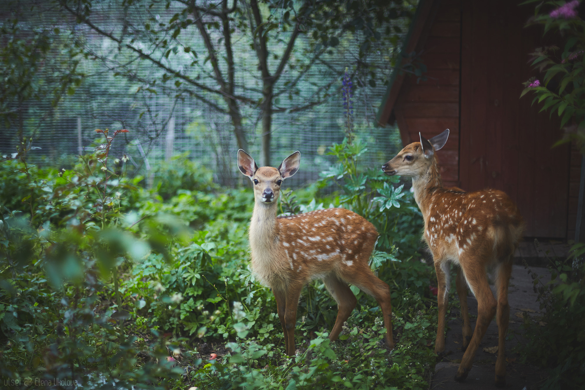 Canon EF 50mm F1.4 USM sample photo. Img photography