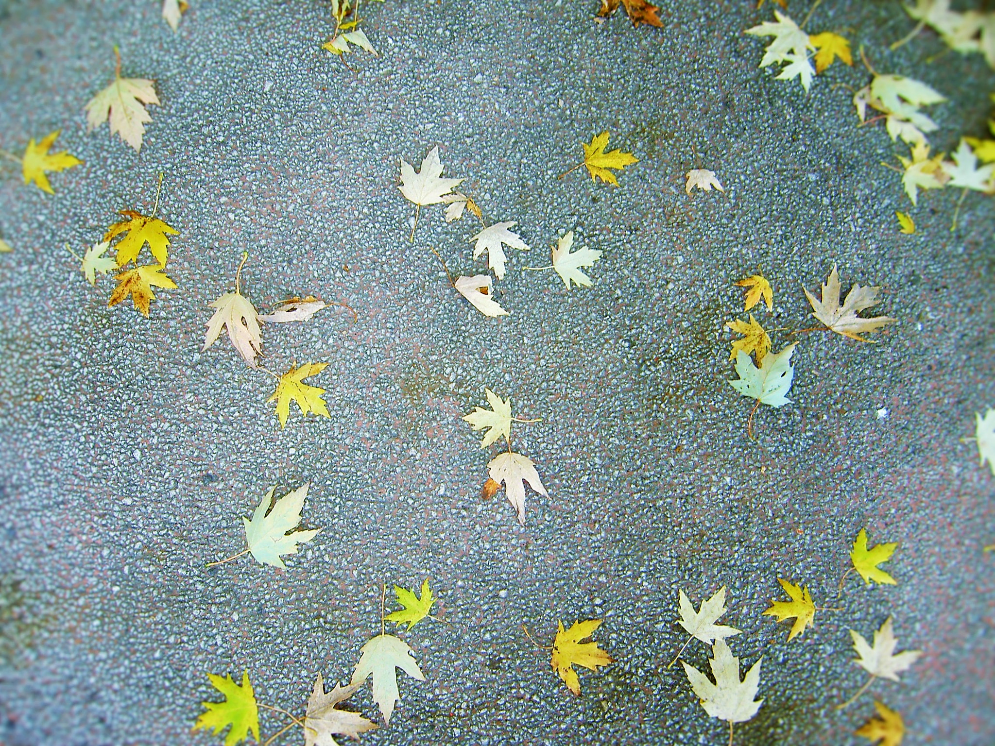 KONICA MINOLTA DiMAGE G400 sample photo. () photography