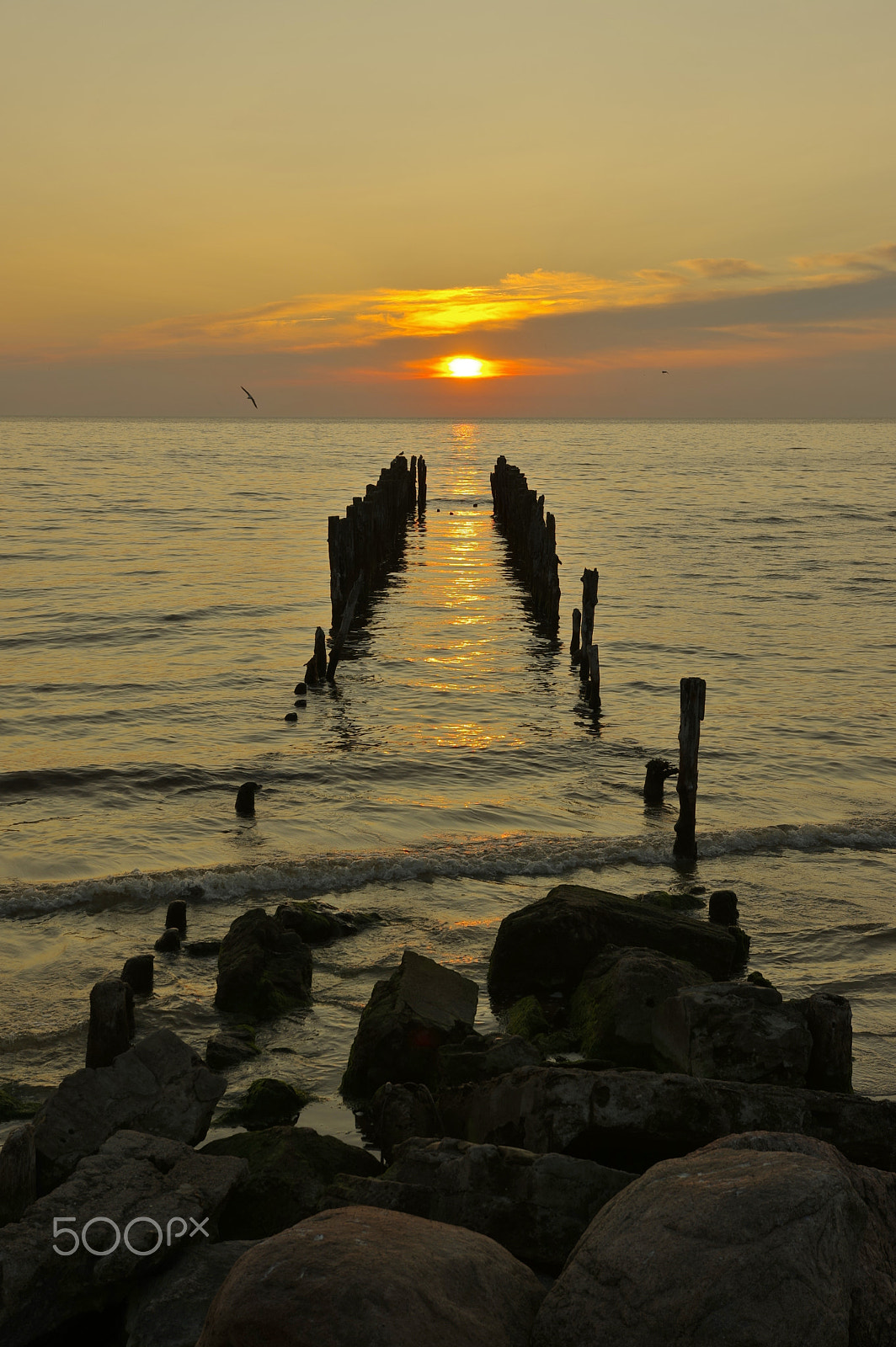 Pentax K-3 II sample photo. Последнее утро мая. the last may`s morning photography