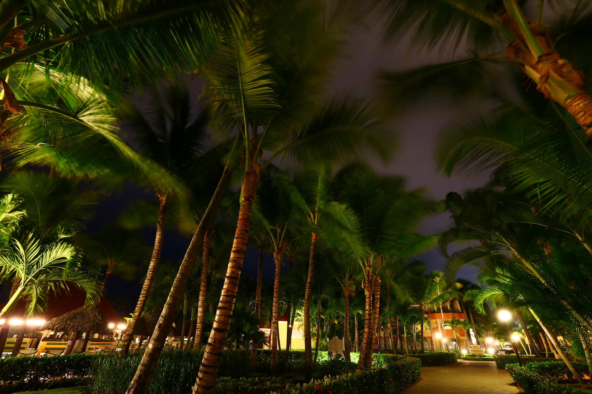 Canon EOS 750D (EOS Rebel T6i / EOS Kiss X8i) sample photo. Evening in the resort  photography