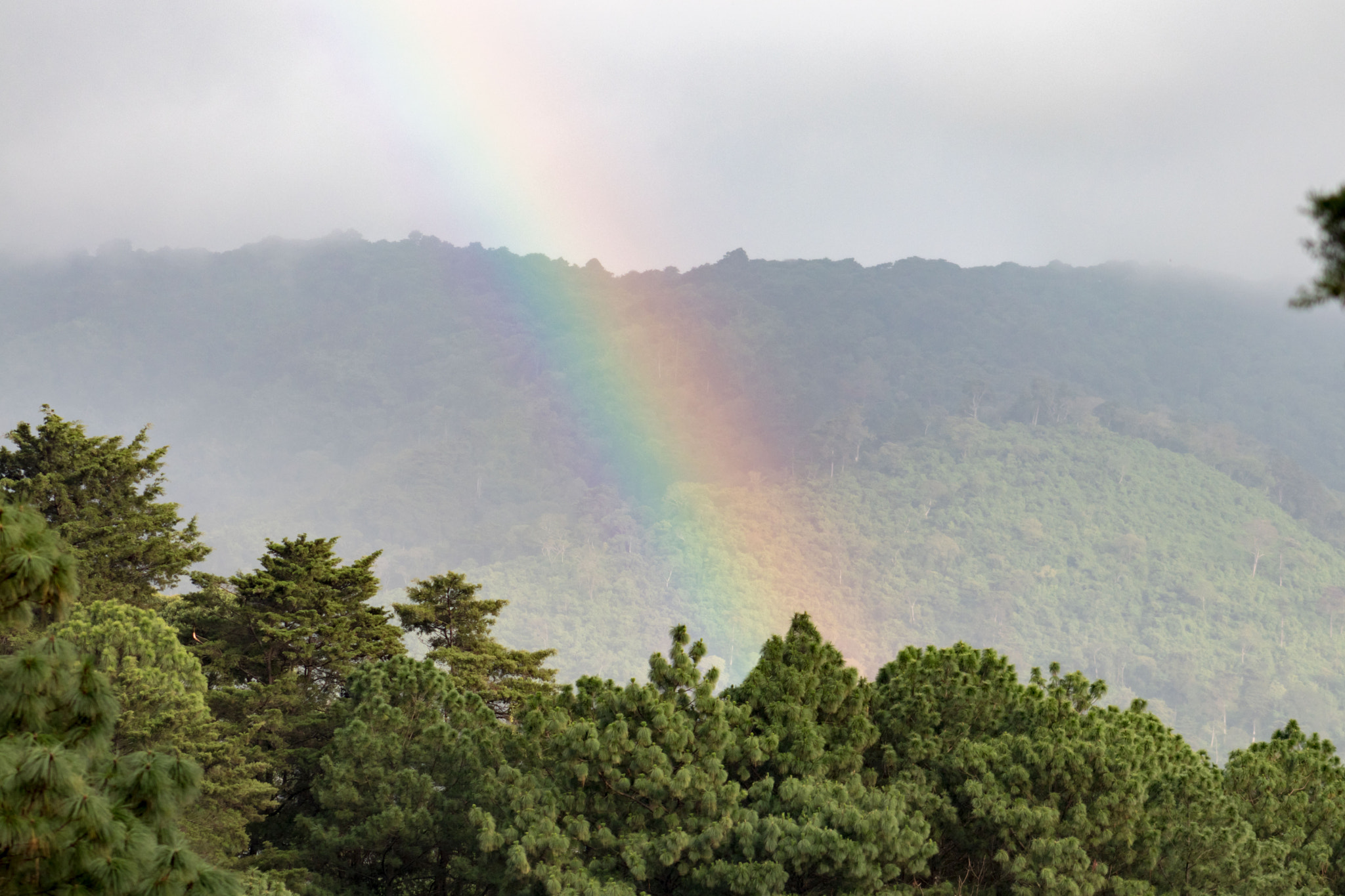 Canon EOS 80D + EF75-300mm f/4-5.6 sample photo. Rainbow on the hill photography