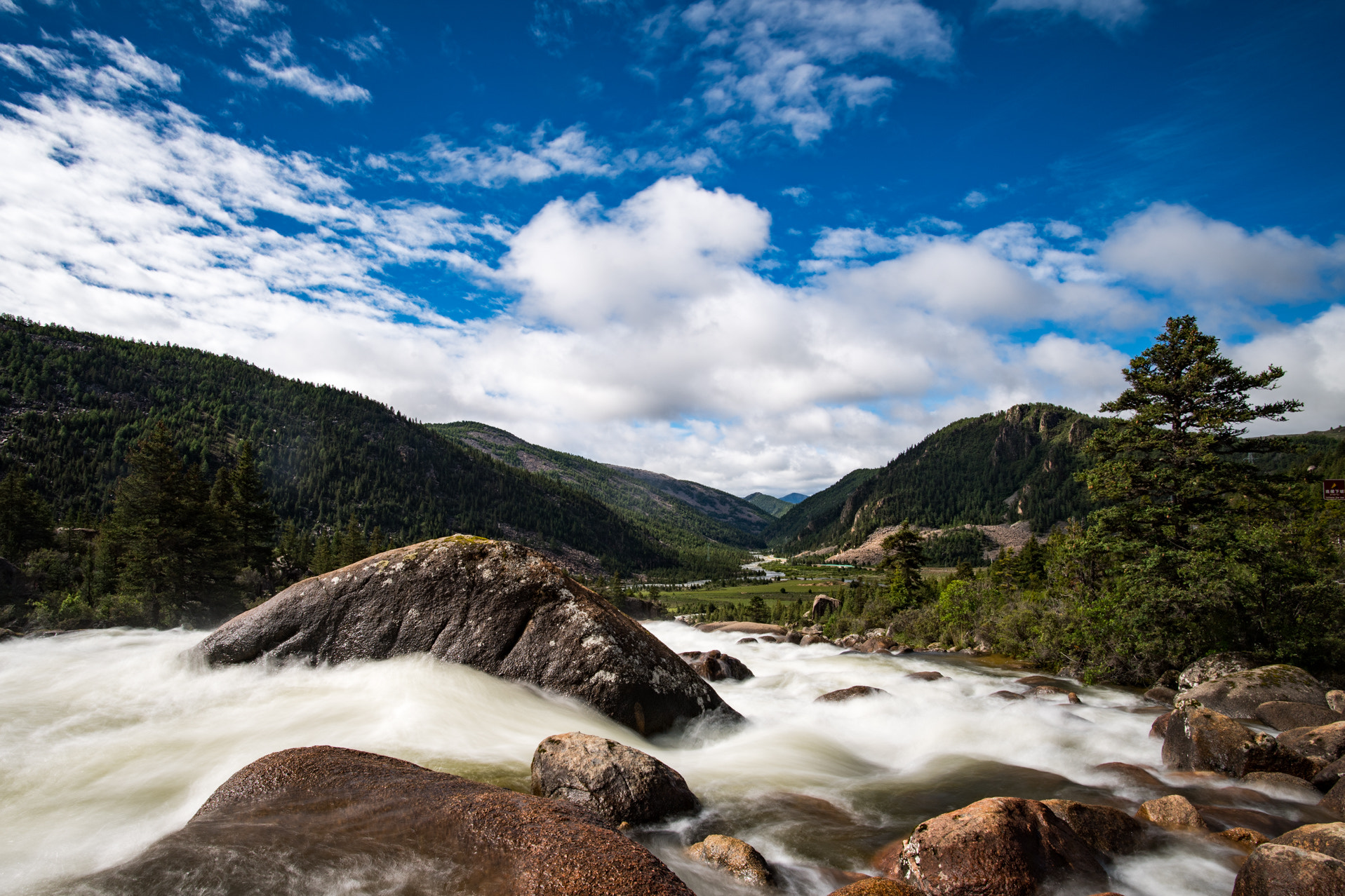 Nikon D5 + Nikon AF-S Nikkor 20mm F1.8G ED sample photo. Summer trip in yading photography