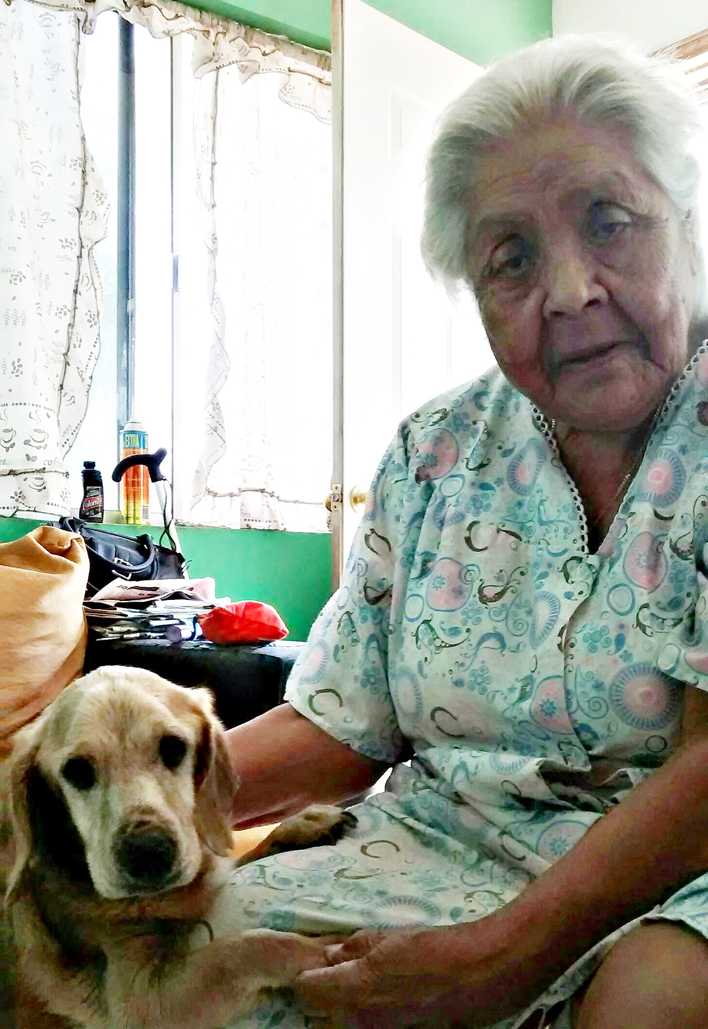 Motorola XT1021 sample photo. Con mi humana <3 photography