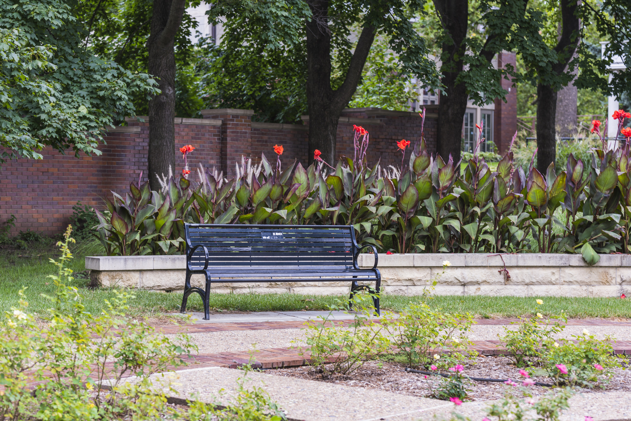 Nikon D810 + Sigma 105mm F2.8 EX DG Macro sample photo. Bench in solitary photography