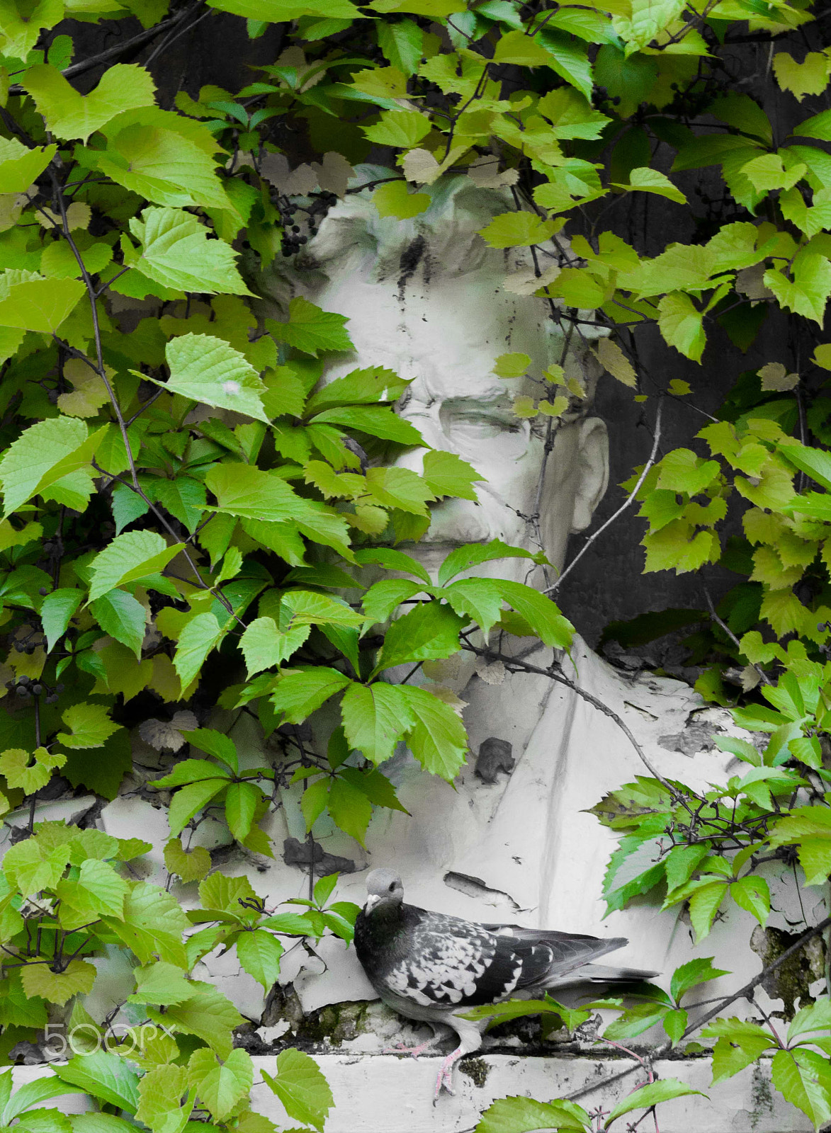 Sigma 18-50mm F2.8-4.5 DC OS HSM sample photo. Forgotten father photography