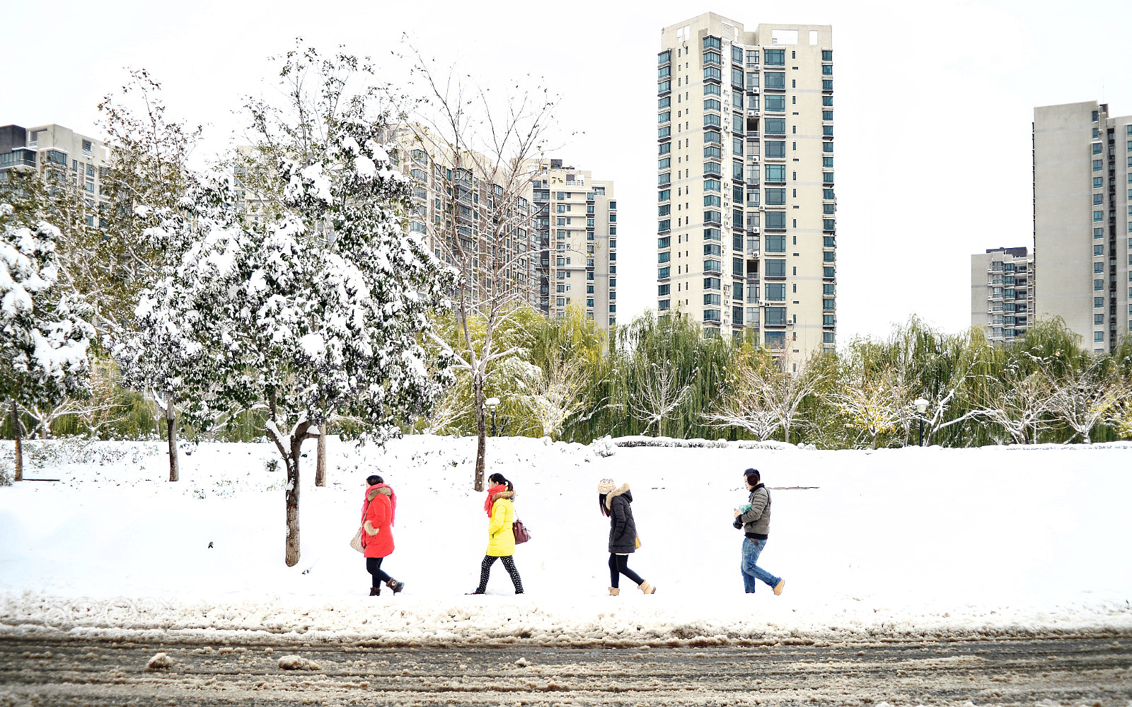 Nikon Df + AF Zoom-Nikkor 35-70mm f/3.3-4.5 sample photo. 2015那场雪 photography